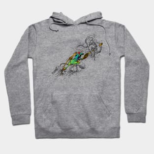 skater lizard catch ball Hoodie